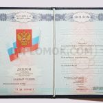 диплом спо 2007-2010